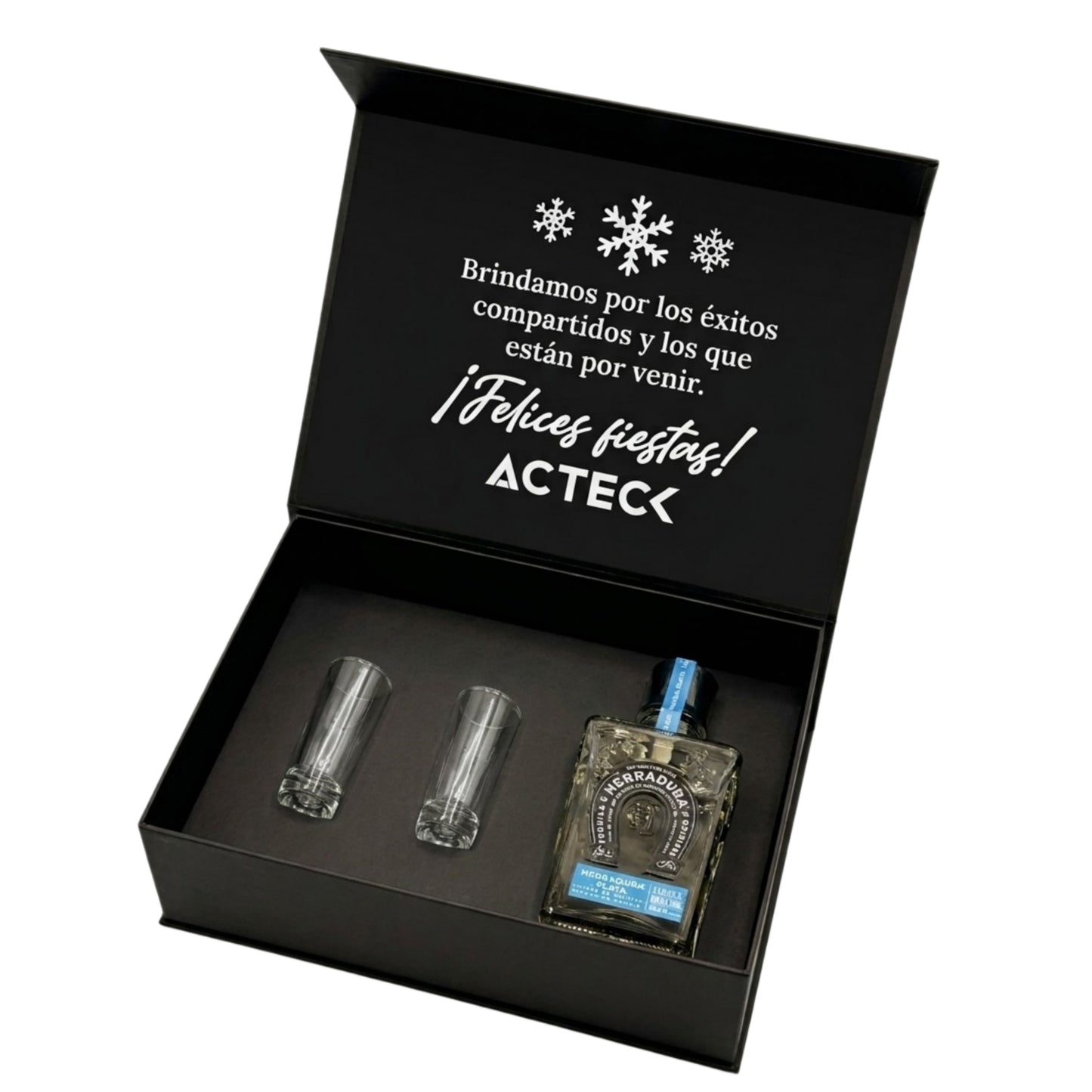 Kit Herradura Plata Premium